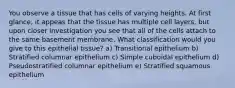 You observe a tissue that has cells of varying heights. At first glance, it appeas that the tissue has multiple cell layers, but upon closer investigation you see that all of the cells attach to the same basement membrane. What classification would you give to this epithelial tissue? a) Transitional epithelium b) Stratified columnar epithelium c) Simple cuboidal epithelium d) Pseudostratified columnar epithelium e) Stratified squamous epithelium