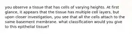 you observe a tissue that has cells of varying heights. At first glance, it appears that the tissue has multiple cell layers, but upon closer investigation, you see that all the cells attach to the same basement membrane. what classification would you give to this epithelial tissue?