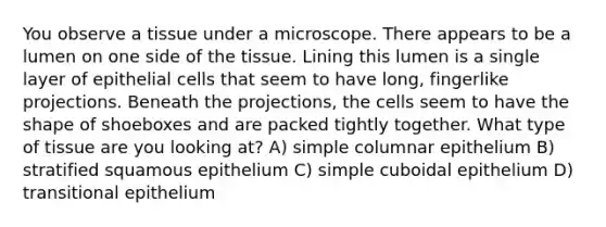 You observe a tissue under a microscope. There appears to be a lumen on one side of the tissue. Lining this lumen is a single layer of epithelial cells that seem to have long, fingerlike projections. Beneath the projections, the cells seem to have the shape of shoeboxes and are packed tightly together. What type of tissue are you looking at? A) simple columnar epithelium B) stratified squamous epithelium C) simple cuboidal epithelium D) transitional epithelium