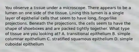 You observe a tissue under a microscope. There appears to be a lumen on one side of the tissue. Lining this lumen is a single layer of epithelial cells that seem to have long, fingerlike projections. Beneath the projections, the cells seem to have the shape of shoeboxes and are packed tightly together. What type of tissue are you looking at? A. transitional epithelium B. simple columnar epithelium C. stratified squamous epithelium D. simple cuboidal epithelium