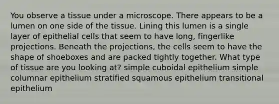 You observe a tissue under a microscope. There appears to be a lumen on one side of the tissue. Lining this lumen is a single layer of epithelial cells that seem to have long, fingerlike projections. Beneath the projections, the cells seem to have the shape of shoeboxes and are packed tightly together. What type of tissue are you looking at? simple cuboidal epithelium simple columnar epithelium stratified squamous epithelium transitional epithelium