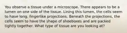 You observe a tissue under a microscope. There appears to be a lumen on one side of the tissue. Lining this lumen, the cells seem to have long, fingerlike projections. Beneath the projections, the cells seem to have the shape of shoeboxes and are packed tightly together. What type of tissue are you looking at?