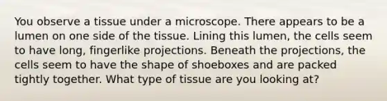 You observe a tissue under a microscope. There appears to be a lumen on one side of the tissue. Lining this lumen, the cells seem to have long, fingerlike projections. Beneath the projections, the cells seem to have the shape of shoeboxes and are packed tightly together. What type of tissue are you looking at?