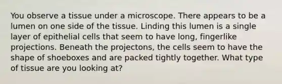 You observe a tissue under a microscope. There appears to be a lumen on one side of the tissue. Linding this lumen is a single layer of epithelial cells that seem to have long, fingerlike projections. Beneath the projectons, the cells seem to have the shape of shoeboxes and are packed tightly together. What type of tissue are you looking at?