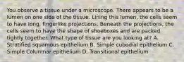 You observe a tissue under a microscope. There appears to be a lumen on one side of the tissue. Lining this lumen, the cells seem to have long, fingerlike projections. Beneath the projections, the cells seem to have the shape of shoeboxes and are packed tightly together. What type of tissue are you looking at? A. Stratified squamous epithelium B. Simple cubodial epithelium C. Simple Columnar epithelium D. Transitional epithelium