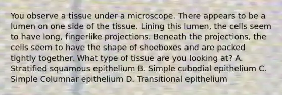 You observe a tissue under a microscope. There appears to be a lumen on one side of the tissue. Lining this lumen, the cells seem to have long, fingerlike projections. Beneath the projections, the cells seem to have the shape of shoeboxes and are packed tightly together. What type of tissue are you looking at? A. Stratified squamous epithelium B. Simple cubodial epithelium C. Simple Columnar epithelium D. Transitional epithelium