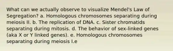 What can we actually observe to visualize Mendel's Law of Segregation? a. Homologous chromosomes separating during meiosis II. b. The replication of DNA. c. Sister chromatids separating during mitosis. d. The behavior of sex-linked genes (aka X or Y linked genes). e. Homologous chromosomes separating during meiosis I.e