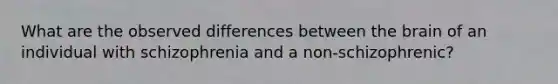 What are the observed differences between the brain of an individual with schizophrenia and a non-schizophrenic?