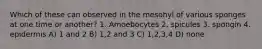 Which of these can observed in the mesohyl of various sponges at one time or another? 1. Amoebocytes 2. spicules 3. spongin 4. epidermis A) 1 and 2 B) 1,2 and 3 C) 1,2,3,4 D) none