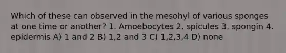 Which of these can observed in the mesohyl of various sponges at one time or another? 1. Amoebocytes 2. spicules 3. spongin 4. epidermis A) 1 and 2 B) 1,2 and 3 C) 1,2,3,4 D) none