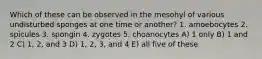 Which of these can be observed in the mesohyl of various undisturbed sponges at one time or another? 1. amoebocytes 2. spicules 3. spongin 4. zygotes 5. choanocytes A) 1 only B) 1 and 2 C) 1, 2, and 3 D) 1, 2, 3, and 4 E) all five of these