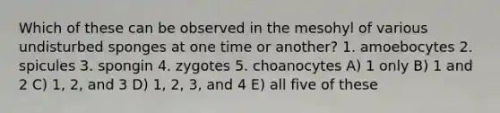 Which of these can be observed in the mesohyl of various undisturbed sponges at one time or another? 1. amoebocytes 2. spicules 3. spongin 4. zygotes 5. choanocytes A) 1 only B) 1 and 2 C) 1, 2, and 3 D) 1, 2, 3, and 4 E) all five of these