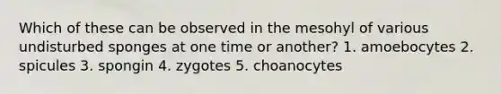Which of these can be observed in the mesohyl of various undisturbed sponges at one time or another? 1. amoebocytes 2. spicules 3. spongin 4. zygotes 5. choanocytes