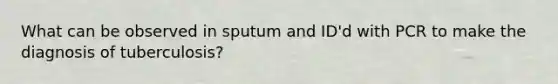 What can be observed in sputum and ID'd with PCR to make the diagnosis of tuberculosis?