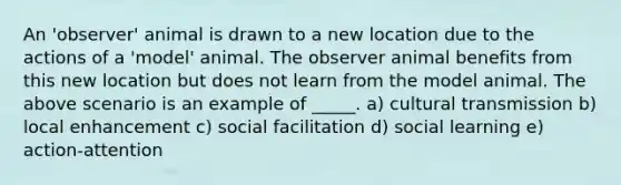 An 'observer' animal is drawn to a new location due to the actions of a 'model' animal. The observer animal benefits from this new location but does not learn from the model animal. The above scenario is an example of _____. a) cultural transmission b) local enhancement c) social facilitation d) social learning e) action-attention