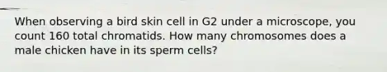 When observing a bird skin cell in G2 under a microscope, you count 160 total chromatids. How many chromosomes does a male chicken have in its sperm cells?