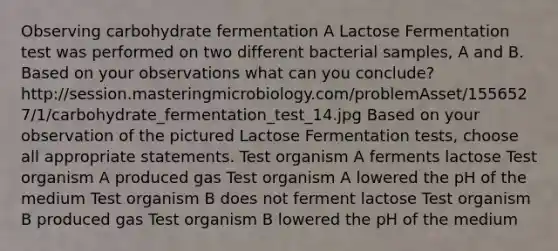 Observing carbohydrate fermentation A Lactose Fermentation test was performed on two different bacterial samples, A and B. Based on your observations what can you conclude? http://session.masteringmicrobiology.com/problemAsset/1556527/1/carbohydrate_fermentation_test_14.jpg Based on your observation of the pictured Lactose Fermentation tests, choose all appropriate statements. Test organism A ferments lactose Test organism A produced gas Test organism A lowered the pH of the medium Test organism B does not ferment lactose Test organism B produced gas Test organism B lowered the pH of the medium