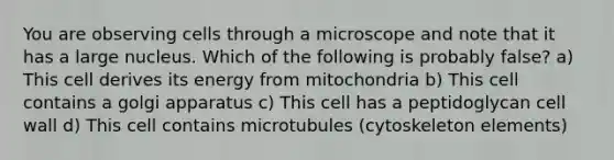 You are observing cells through a microscope and note that it has a large nucleus. Which of the following is probably false? a) This cell derives its energy from mitochondria b) This cell contains a golgi apparatus c) This cell has a peptidoglycan cell wall d) This cell contains microtubules (cytoskeleton elements)