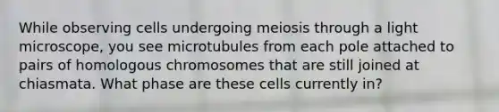 While observing cells undergoing meiosis through a light microscope, you see microtubules from each pole attached to pairs of homologous chromosomes that are still joined at chiasmata. What phase are these cells currently in?