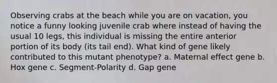 Observing crabs at the beach while you are on vacation, you notice a funny looking juvenile crab where instead of having the usual 10 legs, this individual is missing the entire anterior portion of its body (its tail end). What kind of gene likely contributed to this mutant phenotype? a. Maternal effect gene b. Hox gene c. Segment-Polarity d. Gap gene