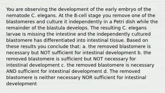 You are observing the development of the early embryo of the nematode C. elegans. At the 8-cell stage you remove one of the blastomeres and culture it independently in a Petri dish while the remainder of the blastula develops. The resulting C. elegans larvae is missing the intestine and the independently cultured blastomere has differentiated into intestinal tissue. Based on these results you conclude that: a. the removed blastomere is necessary but NOT sufficient for intestinal development b. the removed blastomere is sufficient but NOT necessary for intestinal development c. the removed blastomere is necessary AND sufficient for intestinal development d. The removed blastomere is neither necessary NOR sufficient for intestinal development