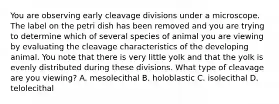 You are observing early cleavage divisions under a microscope. The label on the petri dish has been removed and you are trying to determine which of several species of animal you are viewing by evaluating the cleavage characteristics of the developing animal. You note that there is very little yolk and that the yolk is evenly distributed during these divisions. What type of cleavage are you viewing? A. mesolecithal B. holoblastic C. isolecithal D. telolecithal