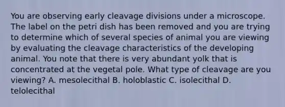 You are observing early cleavage divisions under a microscope. The label on the petri dish has been removed and you are trying to determine which of several species of animal you are viewing by evaluating the cleavage characteristics of the developing animal. You note that there is very abundant yolk that is concentrated at the vegetal pole. What type of cleavage are you viewing? A. mesolecithal B. holoblastic C. isolecithal D. telolecithal