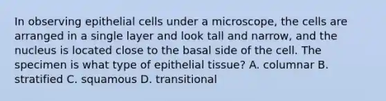 In observing epithelial cells under a microscope, the cells are arranged in a single layer and look tall and narrow, and the nucleus is located close to the basal side of the cell. The specimen is what type of epithelial tissue? A. columnar B. stratified C. squamous D. transitional