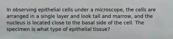 In observing epithelial cells under a microscope, the cells are arranged in a single layer and look tall and marrow, and the nucleus is located close to the basal side of the cell. The specimen is what type of epithelial tissue?