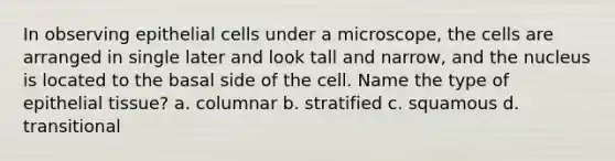 In observing epithelial cells under a microscope, the cells are arranged in single later and look tall and narrow, and the nucleus is located to the basal side of the cell. Name the type of <a href='https://www.questionai.com/knowledge/k7dms5lrVY-epithelial-tissue' class='anchor-knowledge'>epithelial tissue</a>? a. columnar b. stratified c. squamous d. transitional