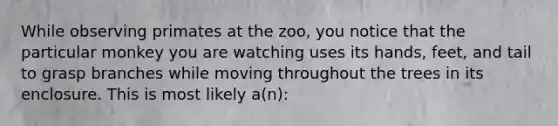 While observing primates at the zoo, you notice that the particular monkey you are watching uses its hands, feet, and tail to grasp branches while moving throughout the trees in its enclosure. This is most likely a(n):