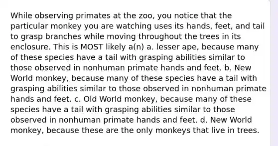 While observing primates at the zoo, you notice that the particular monkey you are watching uses its hands, feet, and tail to grasp branches while moving throughout the trees in its enclosure. This is MOST likely a(n) a. lesser ape, because many of these species have a tail with grasping abilities similar to those observed in nonhuman primate hands and feet. b. New World monkey, because many of these species have a tail with grasping abilities similar to those observed in nonhuman primate hands and feet. c. Old World monkey, because many of these species have a tail with grasping abilities similar to those observed in nonhuman primate hands and feet. d. New World monkey, because these are the only monkeys that live in trees.