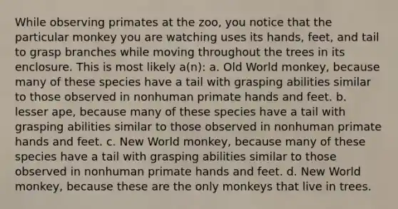 While observing primates at the zoo, you notice that the particular monkey you are watching uses its hands, feet, and tail to grasp branches while moving throughout the trees in its enclosure. This is most likely a(n): a. Old World monkey, because many of these species have a tail with grasping abilities similar to those observed in nonhuman primate hands and feet. b. lesser ape, because many of these species have a tail with grasping abilities similar to those observed in nonhuman primate hands and feet. c. New World monkey, because many of these species have a tail with grasping abilities similar to those observed in nonhuman primate hands and feet. d. New World monkey, because these are the only monkeys that live in trees.