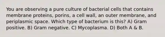 You are observing a pure culture of bacterial cells that contains membrane proteins, porins, a cell wall, an outer membrane, and periplasmic space. Which type of bacterium is this? A) Gram positive. B) Gram negative. C) Mycoplasma. D) Both A & B.