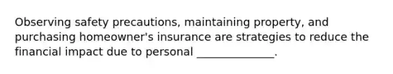 Observing safety precautions, maintaining property, and purchasing homeowner's insurance are strategies to reduce the financial impact due to personal ______________.