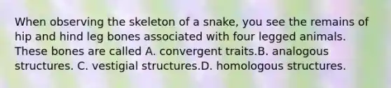 When observing the skeleton of a snake, you see the remains of hip and hind leg bones associated with four legged animals. These bones are called A. convergent traits.​B. analogous structures. C. vestigial structures.​D. homologous structures.