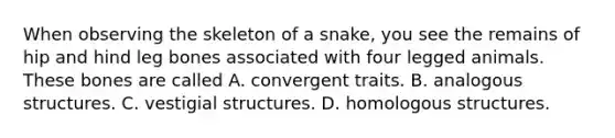 When observing the skeleton of a snake, you see the remains of hip and hind leg bones associated with four legged animals. These bones are called A. convergent traits. B. analogous structures. C. vestigial structures. D. homologous structures.