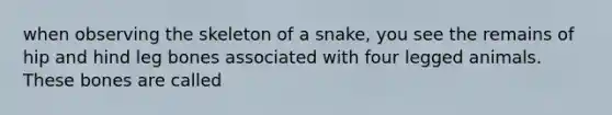 when observing the skeleton of a snake, you see the remains of hip and hind leg bones associated with four legged animals. These bones are called