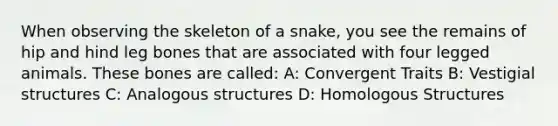 When observing the skeleton of a snake, you see the remains of hip and hind leg bones that are associated with four legged animals. These bones are called: A: Convergent Traits B: Vestigial structures C: Analogous structures D: Homologous Structures