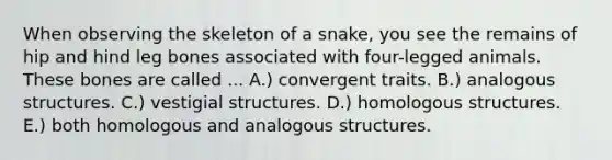 When observing the skeleton of a snake, you see the remains of hip and hind leg bones associated with four-legged animals. These bones are called ... A.) convergent traits. B.) analogous structures. C.) vestigial structures. D.) homologous structures. E.) both homologous and analogous structures.