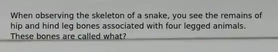 When observing the skeleton of a snake, you see the remains of hip and hind leg bones associated with four legged animals. These bones are called what?