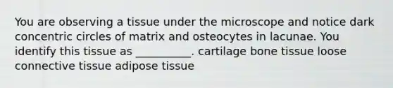 You are observing a tissue under the microscope and notice dark <a href='https://www.questionai.com/knowledge/kyLzXa957r-concentric-circles' class='anchor-knowledge'>concentric circles</a> of matrix and osteocytes in lacunae. You identify this tissue as __________. cartilage bone tissue loose <a href='https://www.questionai.com/knowledge/kYDr0DHyc8-connective-tissue' class='anchor-knowledge'>connective tissue</a> adipose tissue