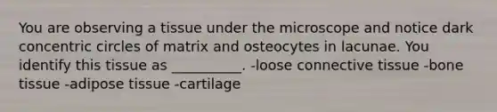 You are observing a tissue under the microscope and notice dark concentric circles of matrix and osteocytes in lacunae. You identify this tissue as __________. -loose connective tissue -bone tissue -adipose tissue -cartilage