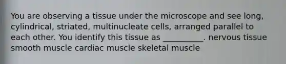 You are observing a tissue under the microscope and see long, cylindrical, striated, multinucleate cells, arranged parallel to each other. You identify this tissue as __________. nervous tissue smooth muscle cardiac muscle skeletal muscle