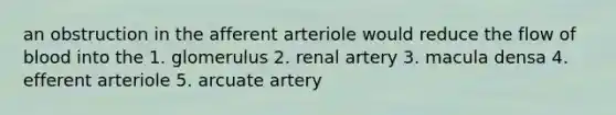 an obstruction in the afferent arteriole would reduce the flow of blood into the 1. glomerulus 2. renal artery 3. macula densa 4. efferent arteriole 5. arcuate artery