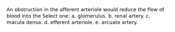 An obstruction in the afferent arteriole would reduce the flow of blood into the Select one: a. glomerulus. b. renal artery. c. macula densa. d. efferent arteriole. e. arcuate artery.