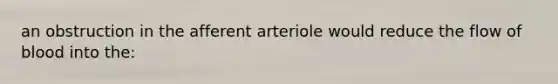 an obstruction in the afferent arteriole would reduce the flow of blood into the: