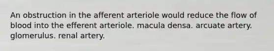 An obstruction in the afferent arteriole would reduce the flow of blood into the efferent arteriole. macula densa. arcuate artery. glomerulus. renal artery.