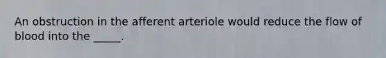 An obstruction in the afferent arteriole would reduce the flow of blood into the _____.