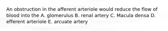 An obstruction in the afferent arteriole would reduce the flow of blood into the A. glomerulus B. renal artery C. Macula densa D. efferent arteriole E. arcuate artery